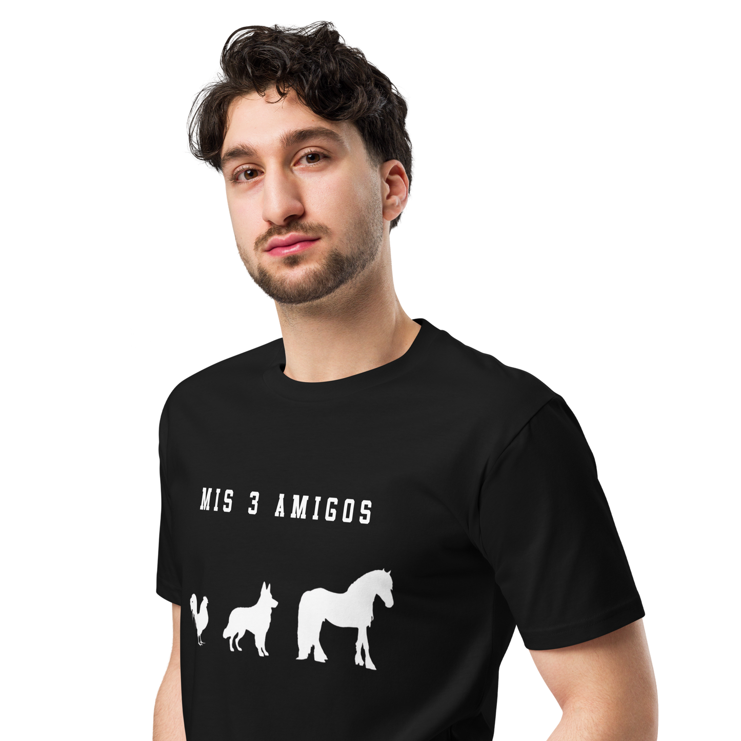 Mis 3 Amigos Men's Authentic Mexican Graphic Quote Tee